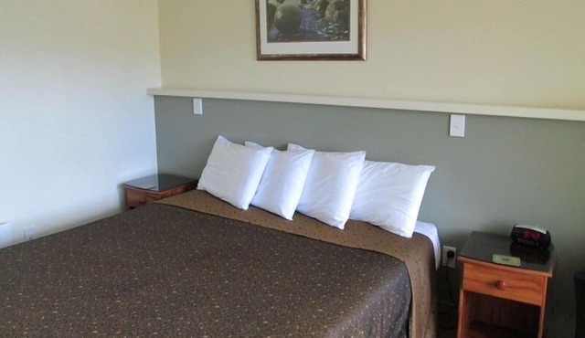 Shortland Court Motel