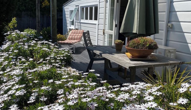 Miramar Bungalow, Wellington Garden Oasis in Wellington