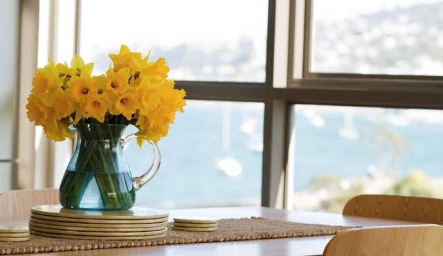 Stay on the Bay - The Penthouse on Evans Bay - 3 bed top floor apartment