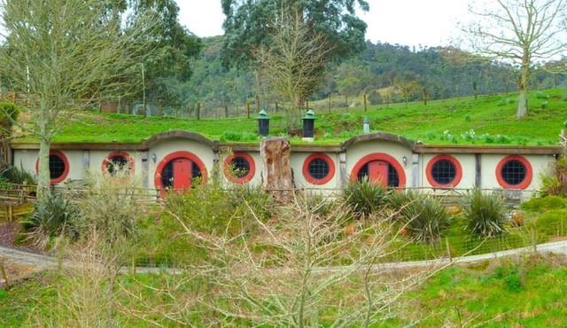 Cute and Distinct Hobbit Accommodations in Hills of Waitomo, New Zealand in Otorohanga