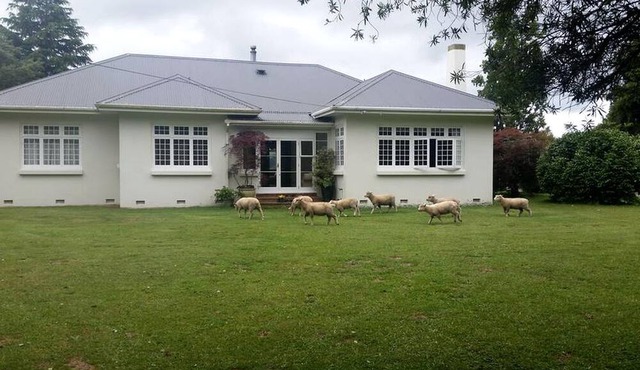Rustic Farm Accommodation Surrounded by Gorgeous Countryside Views near Lake Karapiro, North Island in Cambridge