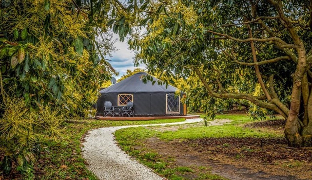 Luxury Camping Yurt with a Hot Tub near the Bay of Plenty, North Island in Thornton