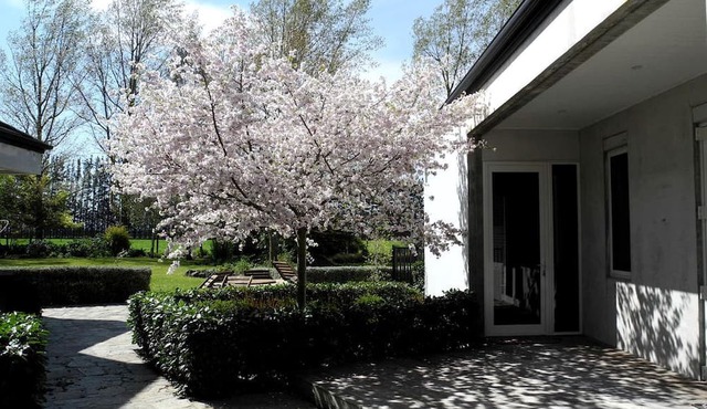Gorgeous Family-Friendly Getaway near Christchurch, South Island in Canterbury
