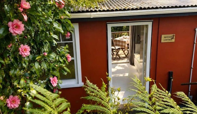 Fantail Cottage | Private Bush Retreat in Raglan