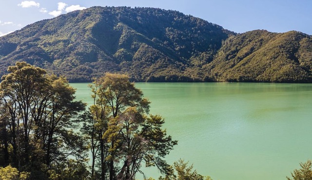 Tepuia Cottage - Havelock Holiday Retreat in Picton