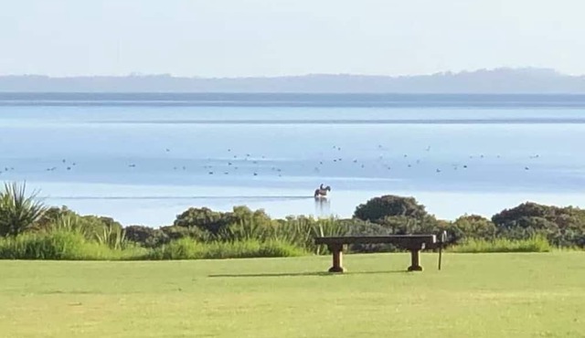 Black Swan Retreat: Lifestyle Charm on a Budget in Clarks Beach
