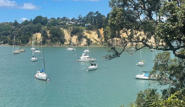 The Hidden Paradise in Auckland