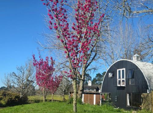 Amore Manor Auckland