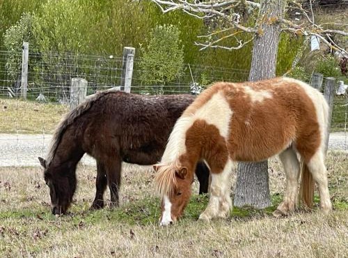 Countryview Haven in Tasman