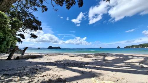 Classic Kiwi Oceanview Bach in Hahei