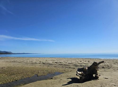 Beachfront Beauty in Parapara