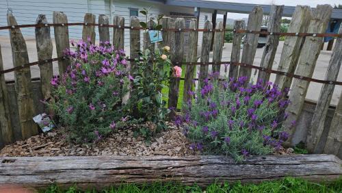 Bever Cottage - 1 bedroom in Waitoki