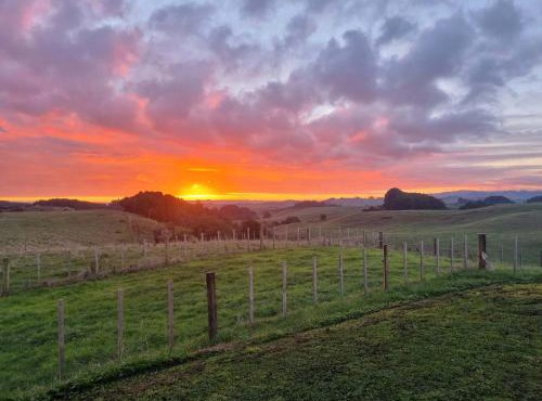 Coastal Country Cabin in Raglan
