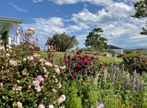 Centrewood Homestead in Shag Point