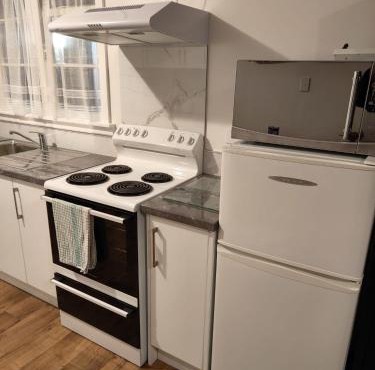 Larsen Apartment