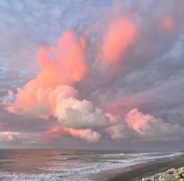 Punakaiki Beach Hostel in Greymouth