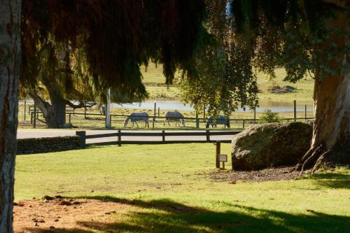 Nordic Villages at Sundale Holiday Park