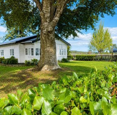 Farm Stay | Near Airport & Mystery Creek