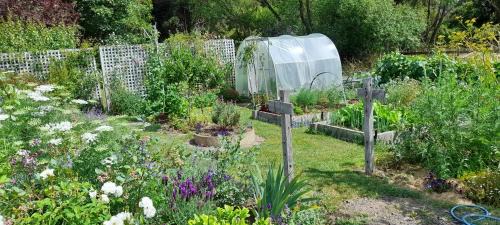 Okuti Country Cottage, a private and peaceful retreat in Little River
