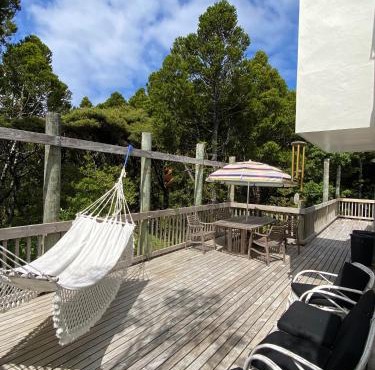 Kauri Coast Bungalow in Auckland