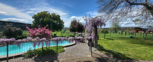 Dewdrop Cottage in Whakatu