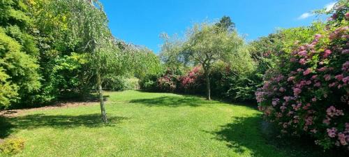 Hiwi Farm Homestay - Peaceful Farm Retreat near Rotorua