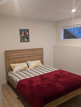 Modern Studio Flat in Glendene in Auckland