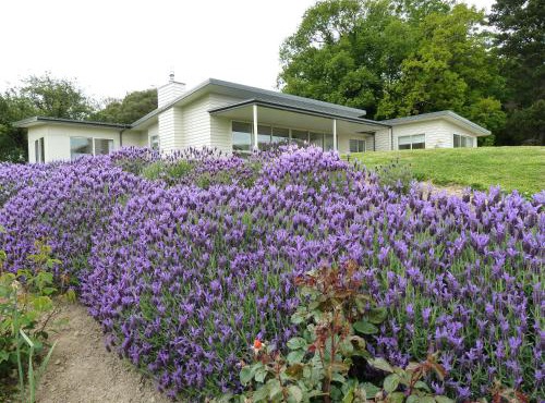 L'abri Bed and Breakfast in Akaroa