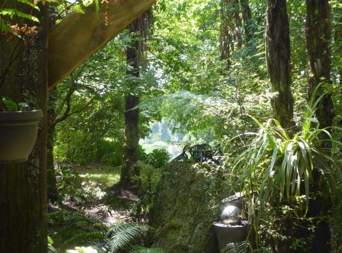 Mount Tutu Eco-Sanctuary
