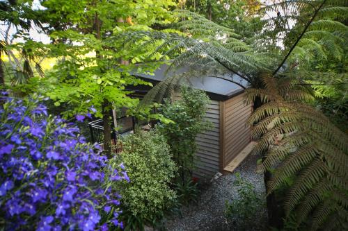 L'amour Nest