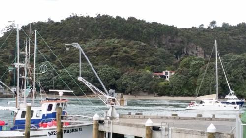 Mooring Lane Lodge in Whitianga